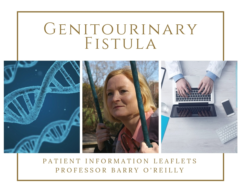 Genitourinary Fistula